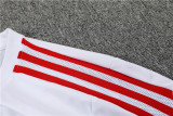 22/23 Bayern Munich Training Kit White 1:1 Quality Training Jersey