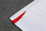 22/23 PSG Training Shirt White 1:1 Quality Training Shirt