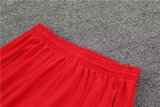 23/24 Flamengo Red 1:1 Quality Training Jersey