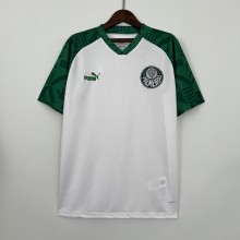 23/24 Palmeiras Special Edition White Fans 1:1 Quality Soccer Jersey