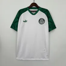 23/24 Palmeiras Special Edition White Fans 1:1 Quality Soccer Jersey
