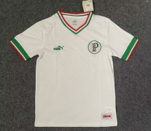 22/23 Palmeiras Anniversary Edition Fans 1:1 Quality Soccer Jersey