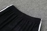 23/24 Juventus Purple 1:1 Quality Training Vest（A-Set）