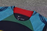2022 Portugal Blue 1:1 Quality Training Vest（A-Set）