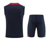 2022 Portugal Blue 1:1 Quality Training Vest（A-Set）