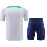 22/23 Inter Milan White 1:1 Quality Training Jersey（A-Set）
