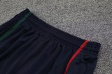 2022 Portugal Blue 1:1 Quality Training Vest（A-Set）
