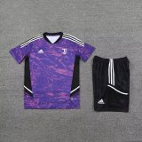 23/24 Juventus Purple 1:1 Quality Training Jersey（A-Set）