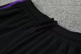 23/24 Real Madrid Purple 1:1 Quality Training Jersey（A-Set）