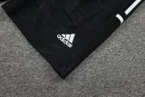 23/24 Juventus Purple 1:1 Quality Training Vest（A-Set）