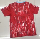 23/24 Chivas Red Fans Version 1:1 Quality Training Shirts