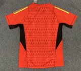 23/24 Tiger Goalkeeper Fans 1:1 Quality Soccer Jersey