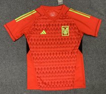 23/24 Tiger Goalkeeper Fans 1:1 Quality Soccer Jersey