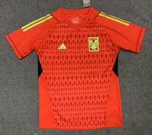 23/24 Tiger Goalkeeper Fans 1:1 Quality Soccer Jersey