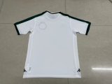 23/24 Guarani FC Away White Fans 1:1 Quality Soccer Jersey