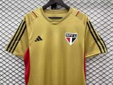 23/24 Sao Paulo Gold Fans 1:1 Quality Training Jersey