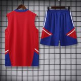 23/24 Bayern Munich Red 1:1 Quality Training Vest（A-Set）