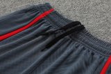 23/24 Liverpool Blue 1:1 Quality Training Vest（A-Set）