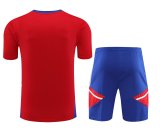 23/24 Bayern Munich Red 1:1 Quality Training Jersey（A-Set）