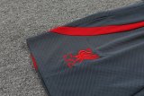 23/24 Liverpool Blue 1:1 Quality Training Jersey（A-Set）