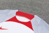 23/24 Liverpool White 1:1 Quality Training Jersey（A-Set）