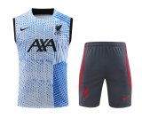 23/24 Liverpool Blue 1:1 Quality Training Vest（A-Set）