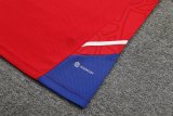 23/24 Bayern Munich Red 1:1 Quality Training Vest（A-Set）