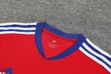23/24 Bayern Munich Red 1:1 Quality Training Jersey（A-Set）