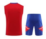23/24 Bayern Munich Red 1:1 Quality Training Vest（A-Set）