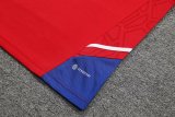 23/24 Bayern Munich Red 1:1 Quality Training Jersey（A-Set）