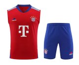 23/24 Bayern Munich Red 1:1 Quality Training Vest（A-Set）