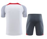 23/24 Liverpool White 1:1 Quality Training Jersey（A-Set）