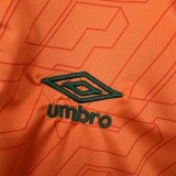 23/24 Fluminense Yellow Fans 1:1 Quality Training Shirts