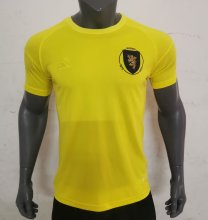 23/24 Scotland Yellow Goakeeper Fans 1:1 Quality Soccer Jersey