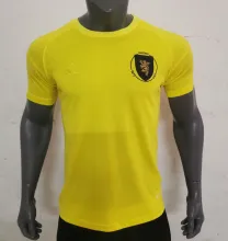 23/24 Scotland Yellow Goakeeper Fans 1:1 Quality Soccer Jersey