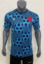 2023 Denmark Fans 1:1 Quality Training Jersey