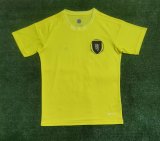 23/24 Scotland Yellow Goakeeper Fans 1:1 Quality Soccer Jersey