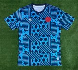 2023 Denmark Fans 1:1 Quality Training Jersey