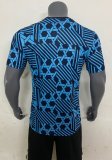 2023 Denmark Fans 1:1 Quality Training Jersey