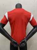 23/24 Chivas Red Fans 1:1 Quality Training Shirts