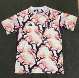 23/24 Japan Special Edition Fans 1:1 Quality Soccer Jersey