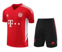 23/24 Bayern Munich Red 1:1 Quality Training Jersey（A-Set）