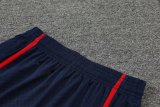 23/24 PSG Paris Jordan Blue 1:1 Quality Training Vest（A-Set）