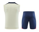 23/24 PSG Paris Beige 1:1 Quality Training Vest（A-Set）