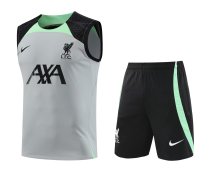 23/24 Liverpool Gray 1:1 Quality Training Vest（A-Set）