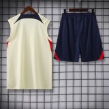23/24 PSG Paris Beige 1:1 Quality Training Vest（A-Set）