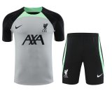 23/24 Liverpool Gray 1:1 Quality Training Jersey（A-Set）