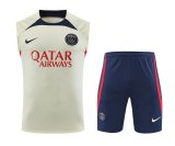 23/24 PSG Paris Beige 1:1 Quality Training Vest（A-Set）