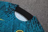 23/24 Inter Milan Blue 1:1 Quality Training Jersey（A-Set）