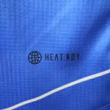 23/24 Japan Cartoon Anime Edition Player 1:1 Quality Soccer Jersey